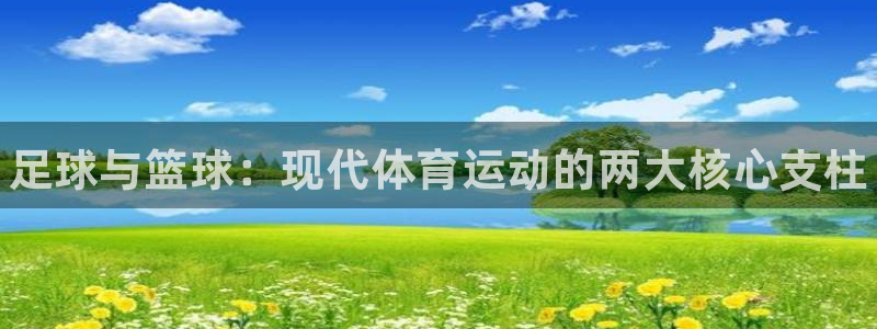 一竞技官方正版app集团官网网址：足球与篮球：现代体育运动的