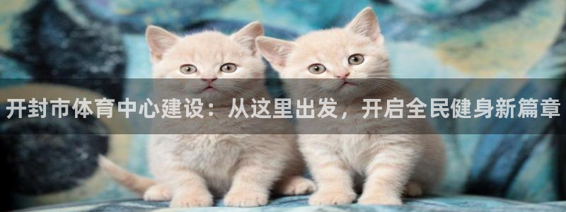 一竞技官网下载平台注册要钱吗安全吗：开封市体育中心建