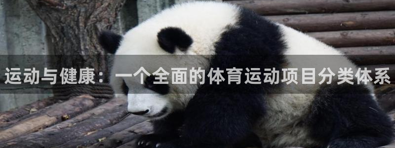 一竞技官网下载开户：运动与健康：一个全面的体育运动项