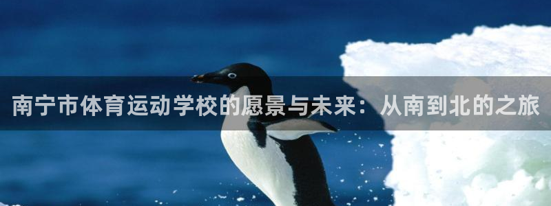 一竞技官方正版app集团官网网址：南宁市体育运动学校