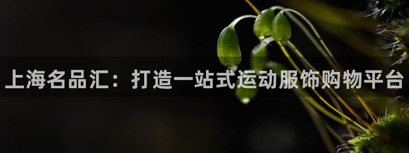一竞技官网下载招商电话是多少：上海名品汇：打造一站式