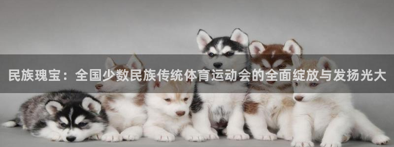 一竞技官方正版app集团官网首页：民族瑰宝：全国少数