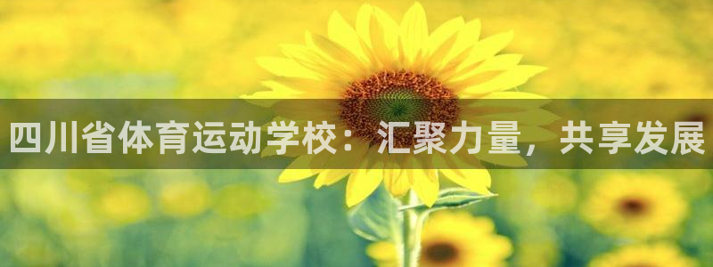 德国一竞技官方正版app集团：四川省体育运动学校：汇