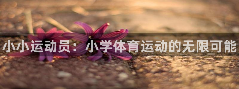 一竞技官网下载平台注册流程视频：小小运动员：小学体育运动的无