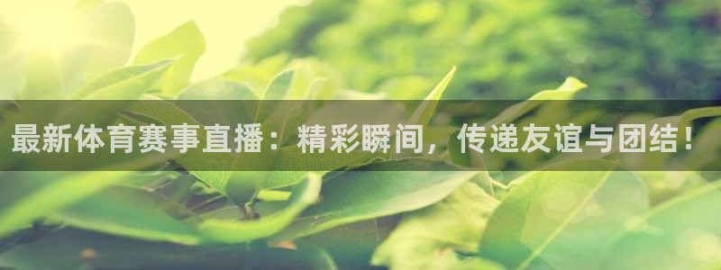 注册一竞技官方正版app：最新体育赛事直播：精彩瞬间