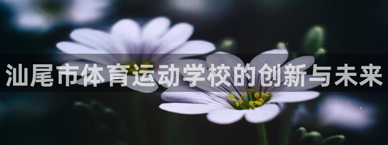 海南一竞技官网下载：汕尾市体育运动学校的创新与未来