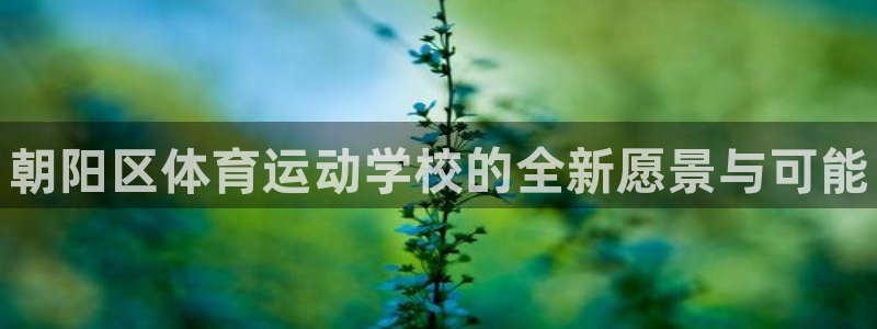 一竞技官网下载联系电话：朝阳区体育运动学校的全新愿景