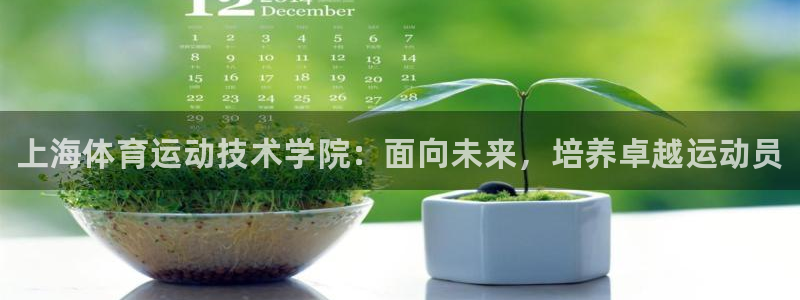 一竞技官方正版app五金厂：上海体育运动技术学院：面