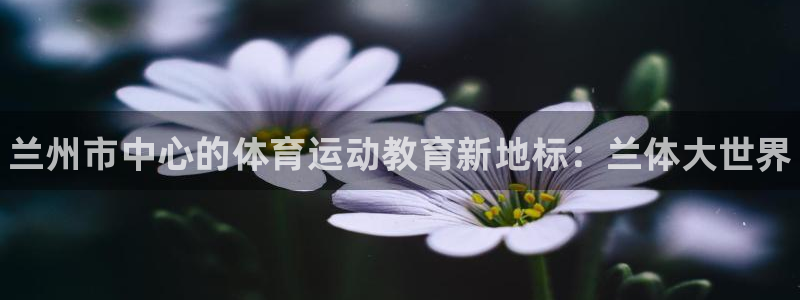 一竞技官网下载平台假的吗是真的吗：兰州市中心的体育运动教育新