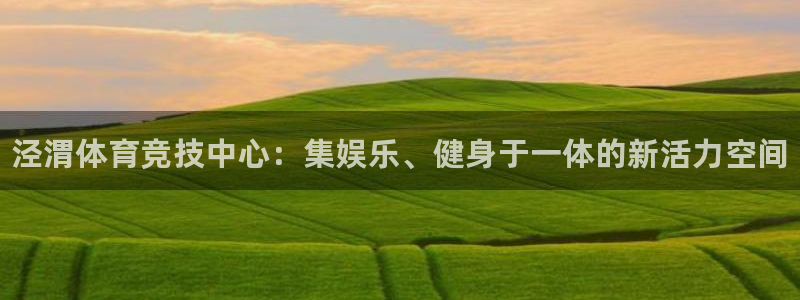 一竞技官方正版app新能源：泾渭体育竞技中心：集娱乐、健身于