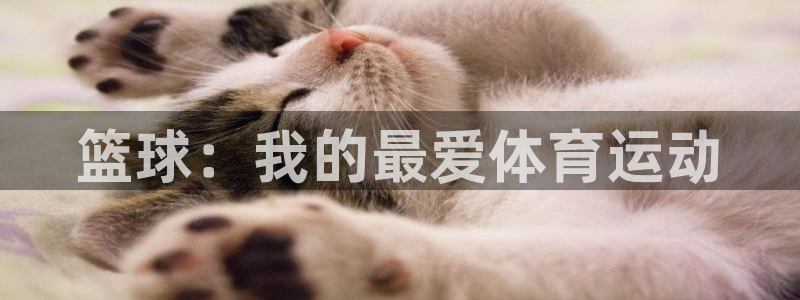 一竞技官网下载招商电话地址是多少：篮球：我的最爱体育