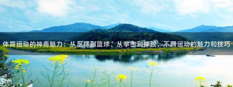 一竞技官方正版app集团logo：体育运动的神奇魅力
