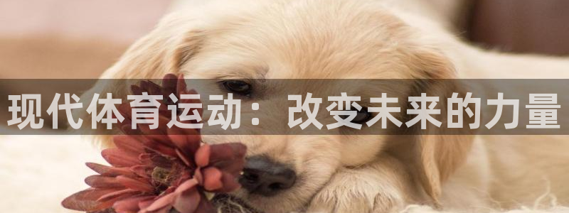 一竞技官网下载招商电话号码