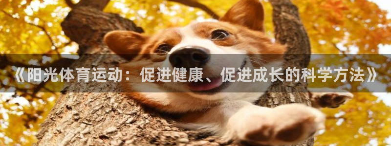 一竞技官网下载招商电话号码查询：《阳光体育运动：促进