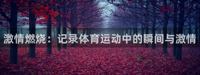 一竞技官网下载招商电话