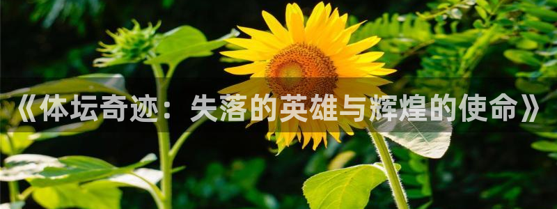 德国一竞技官方正版app集团：《体坛奇迹：失落的英雄