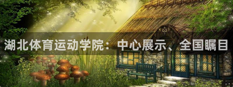 德国一竞技官方正版app集团