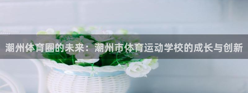 一竞技官方正版app代理