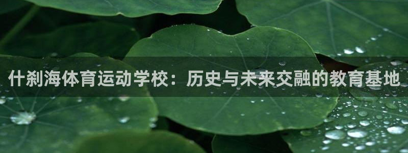 一竞技官网下载平台是正规平台吗：什刹海体育运动学校：