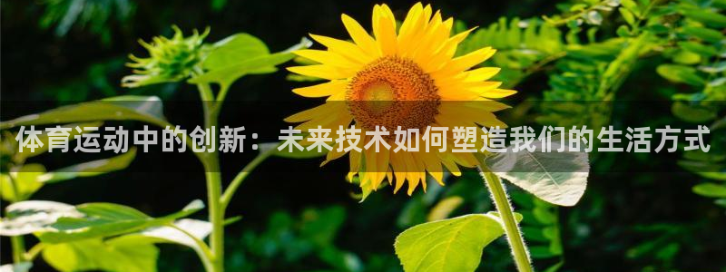 一竞技官方正版app五金厂：体育运动中的创新：未来技