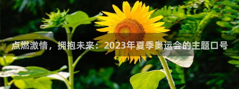 一竞技官方正版app娱乐首页网站大全：点燃激情，拥抱未来：2