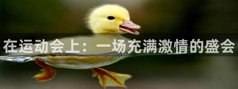 一竞技官网下载平台注册要钱吗安全吗：在运动会上：一场