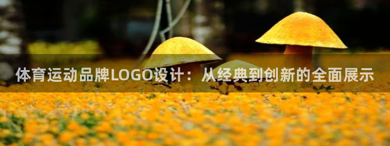 一竞技官方正版app五金厂：体育运动品牌LOGO设计：从经典