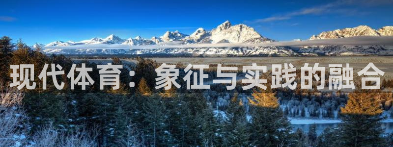 一竞技官网下载平台注册要钱吗安全吗：现代体育：象征与实践的融