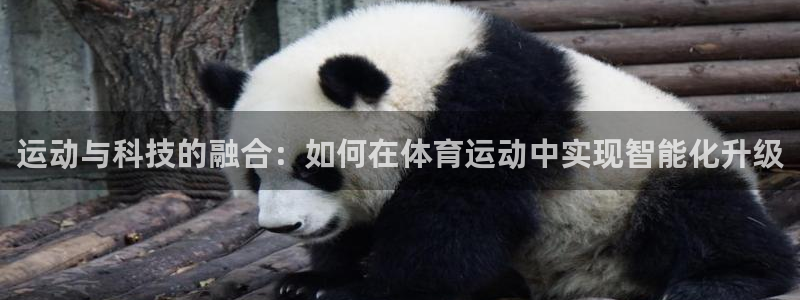 注册一竞技官方正版app：运动与科技的融合：如何在体