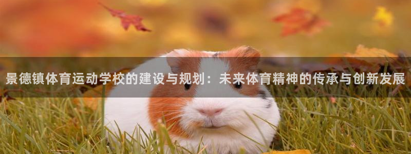 一竞技网页版入口