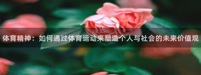 一竞技平台登录入口