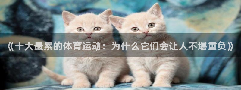一竞技客服说账号异常