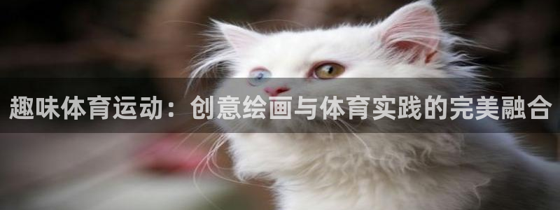 一竞技官方网站入口下载：趣味体育运动