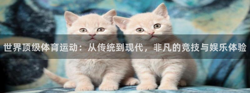  一竞技官网网页版：世界顶级体育运动：从传统到现代，非凡的竞技