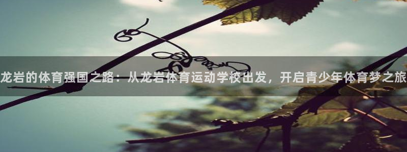 一竞技平台登录入口：龙岩的体育强国之路：从龙岩体育运动学校出