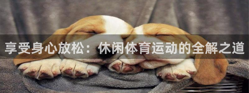  一竞技官网APP：享受身心放松：休闲体育运动的全解之道
