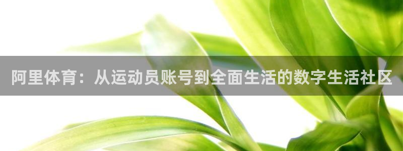 一竞技入口：阿里体育：从运动员账号到全面生活的数字生活社区