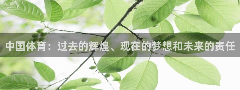  一竞技官网登录入口：中国体育：过去的辉煌、现在的梦想和未来的
