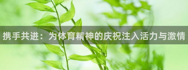一竞技入口官网首页：携手共进：为体育精神的庆祝注入活力与激情