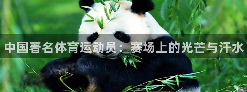一竞技平台是杂牌吗：中国著名体育运动