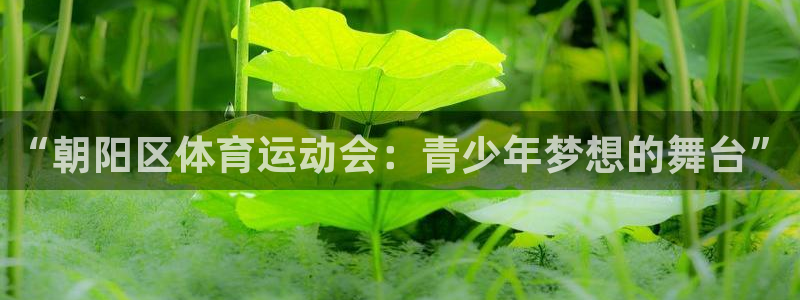 一竞技官网游戏平台：“朝阳区体育运动