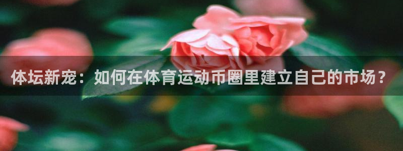  一竞技官网登录：体坛新宠：如何在体育运动币圈里建立自己的市场